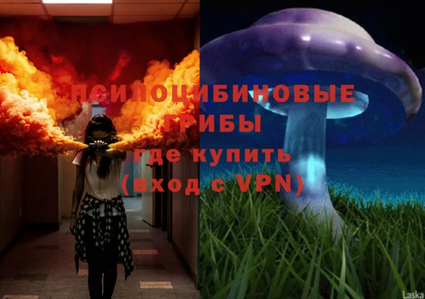 a pvp Богородицк